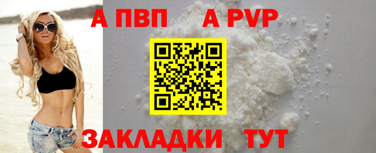 Альфа ПВП СК Санкт-Петербург