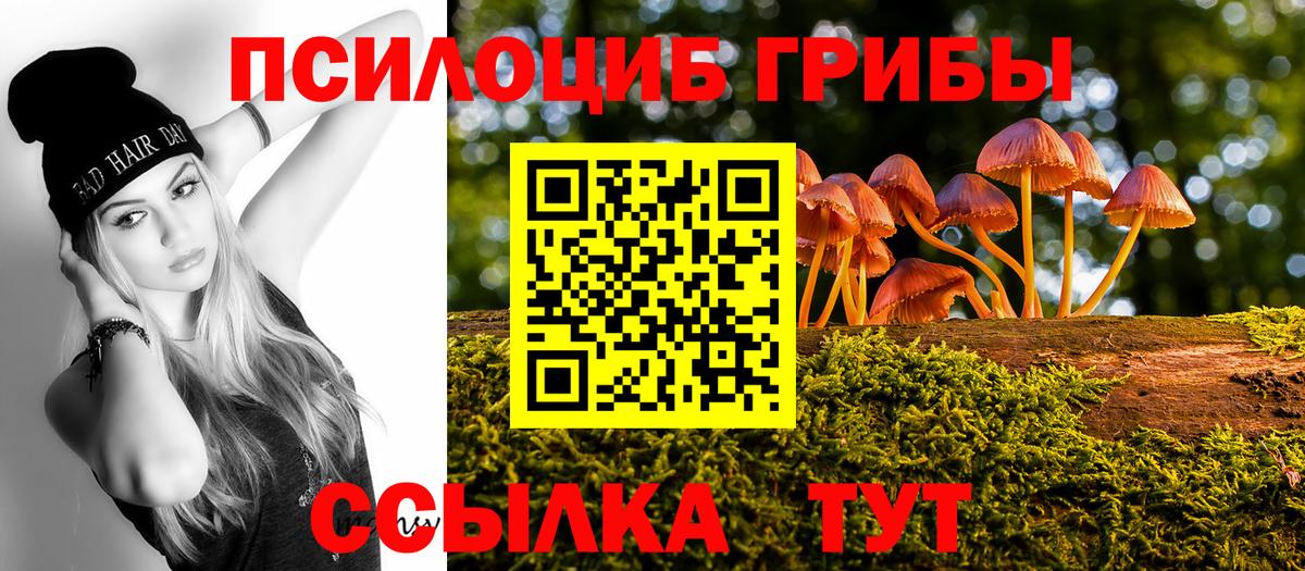 Санкт-Петербург  Галлюциногенные грибы Magic Shrooms  Псилоцибиновые грибы GOLDEN TEACHER  Вход с VPN 