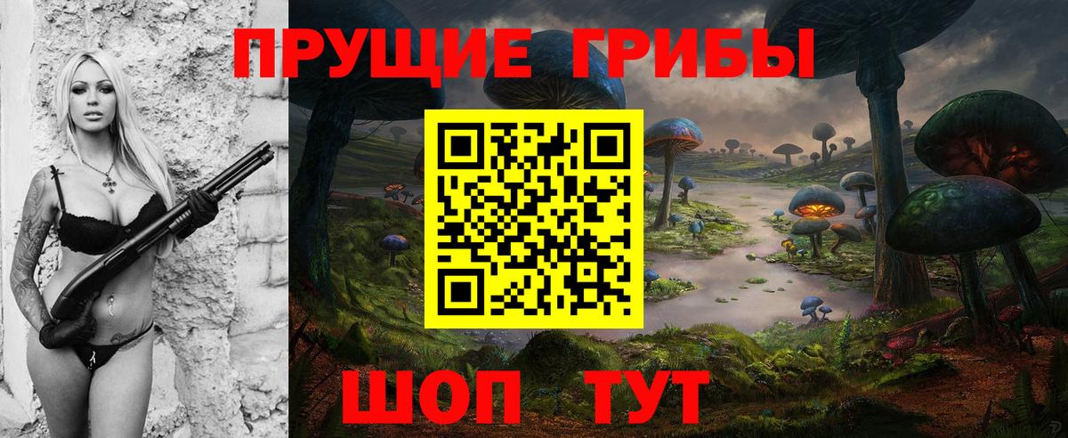 Галлюциногенные грибы Psilocybine cubensis  Вход с VPN  Санкт-Петербург 