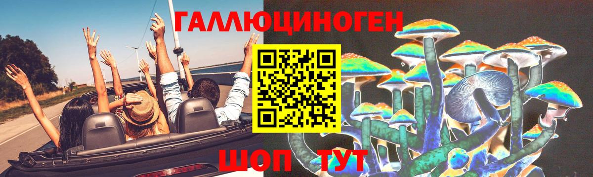Псилоцибиновые грибы GOLDEN TEACHER Санкт-Петербург